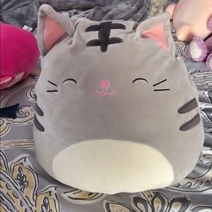 Gray Cat Squishmallow